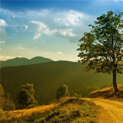 开元ky888网址进入下载